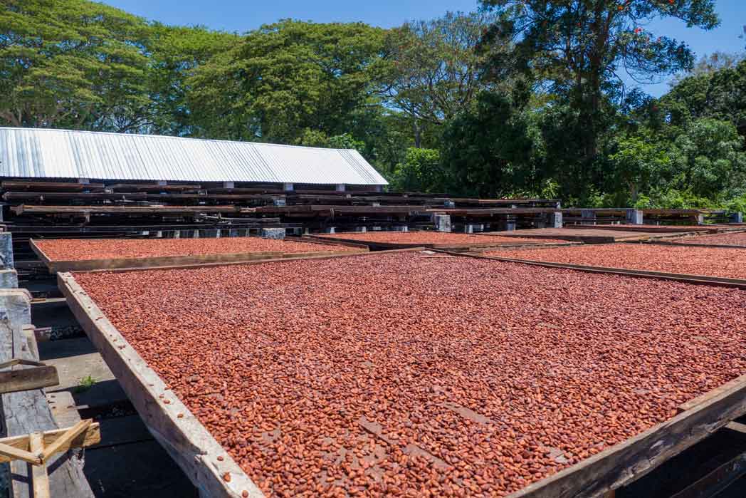 Tafelschokolade »LABRIQ Madagaskar, Bejofo Estate, 74%«