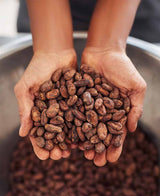 Bean-to-Bar Wchokolade, Kakaobohnen Auswahl durch Chocolate Maker Deutschland