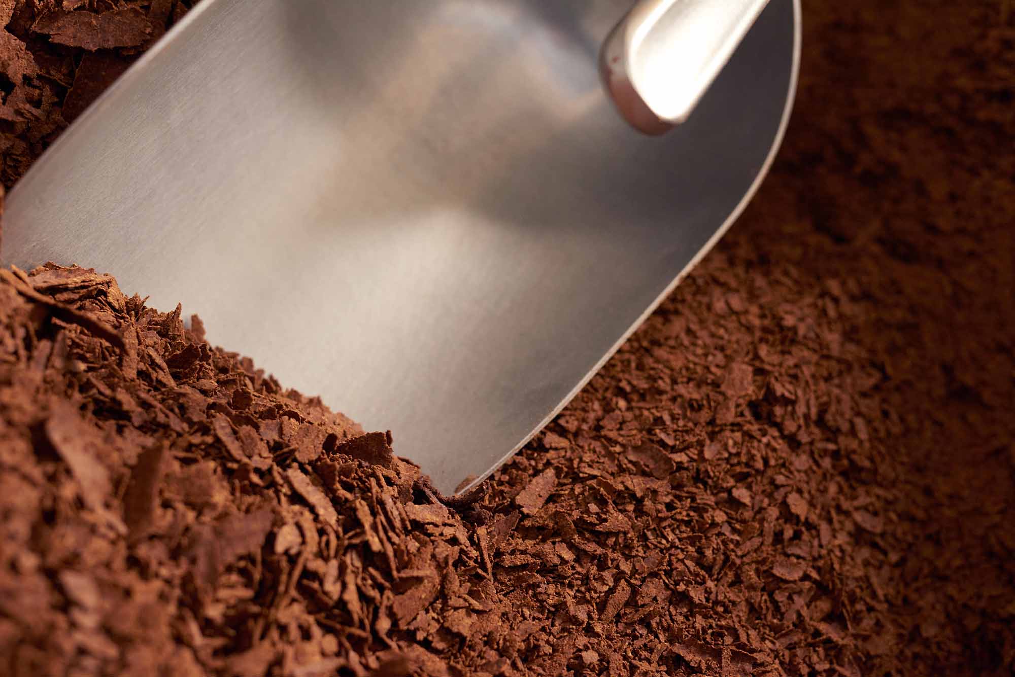 Vorgewalzte Kakaobohnen