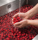 Himbeeren werden schonend gewaschen für die Herstellung von Fruchtaufstrichen
