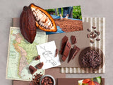 Bean-to-Bar Schokolade Entwicklung, Kakao, Kakaobohnen und Inspiration