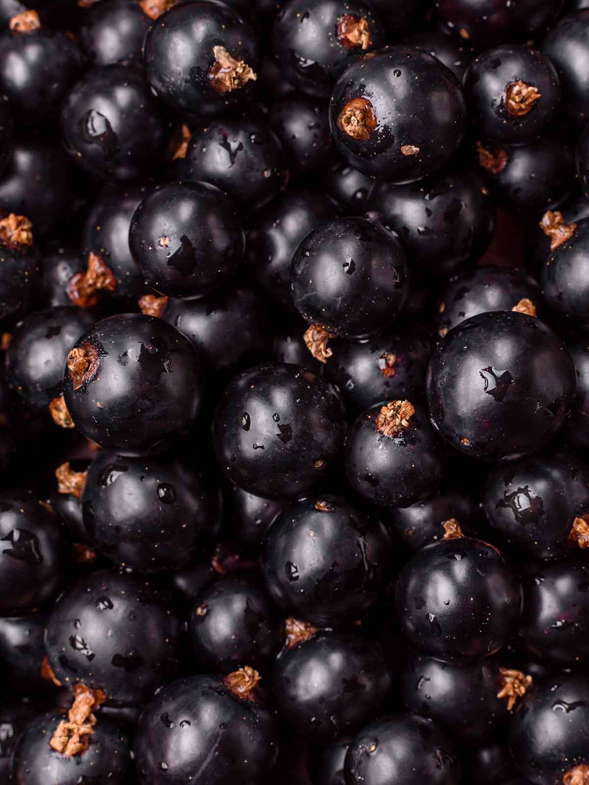 Aufstrich »Cassis und Veilchen«