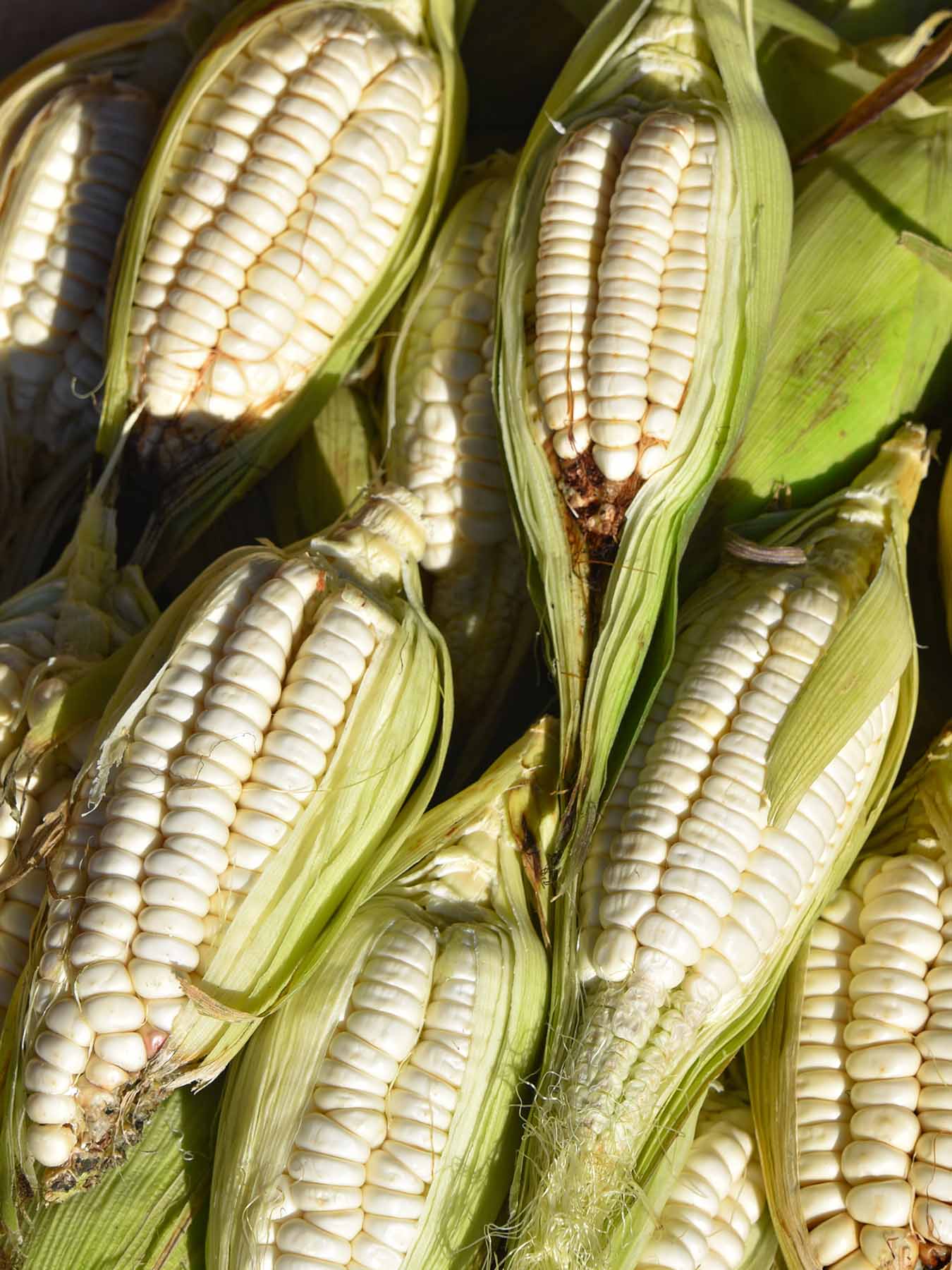 Les Perles »Cuzco«